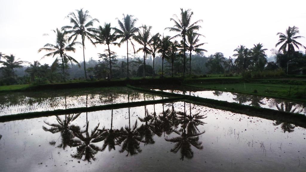 Villa Kemuning Tegallalang  Exteriér fotografie