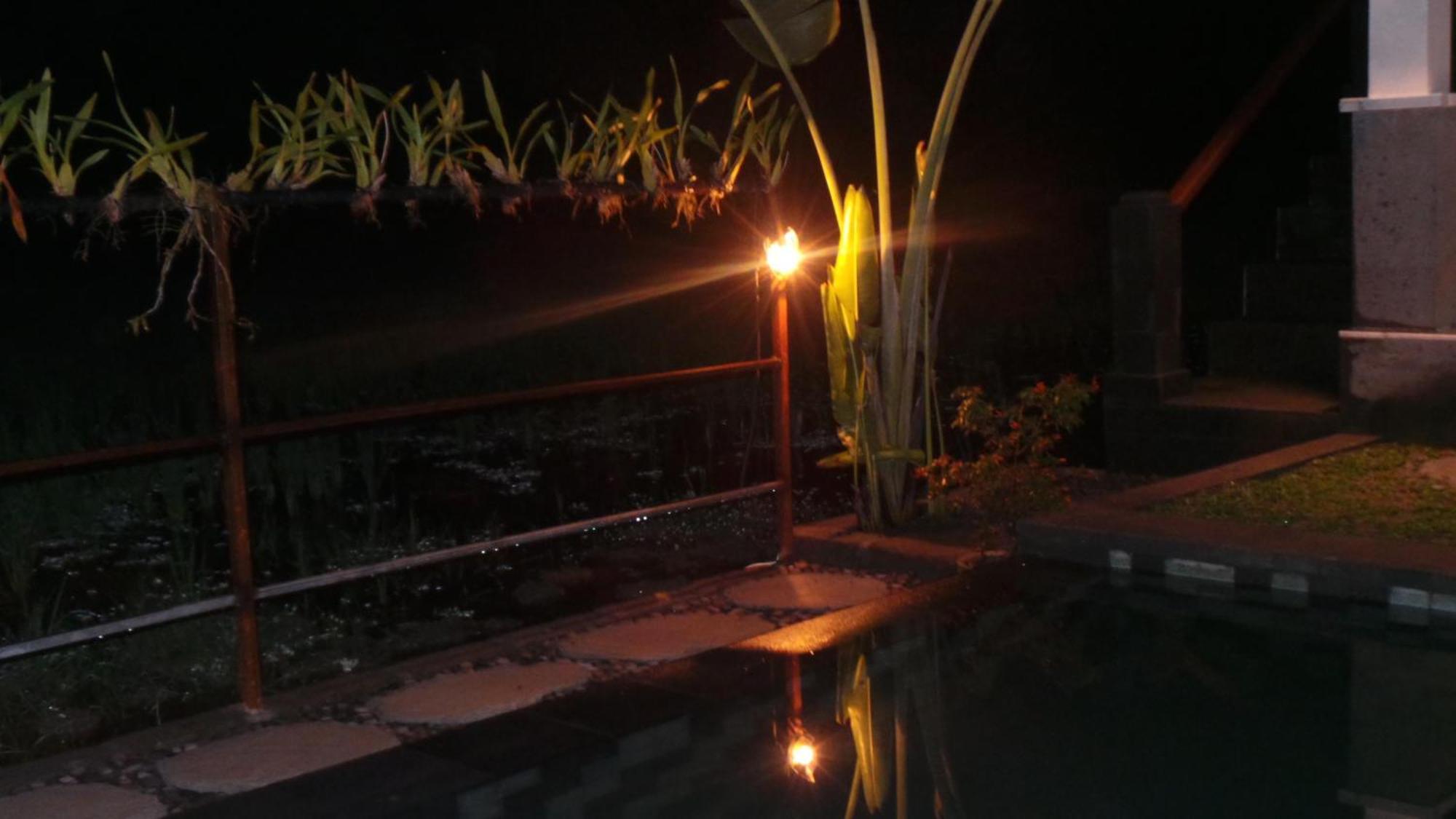 Villa Kemuning Tegallalang  Pokoj fotografie