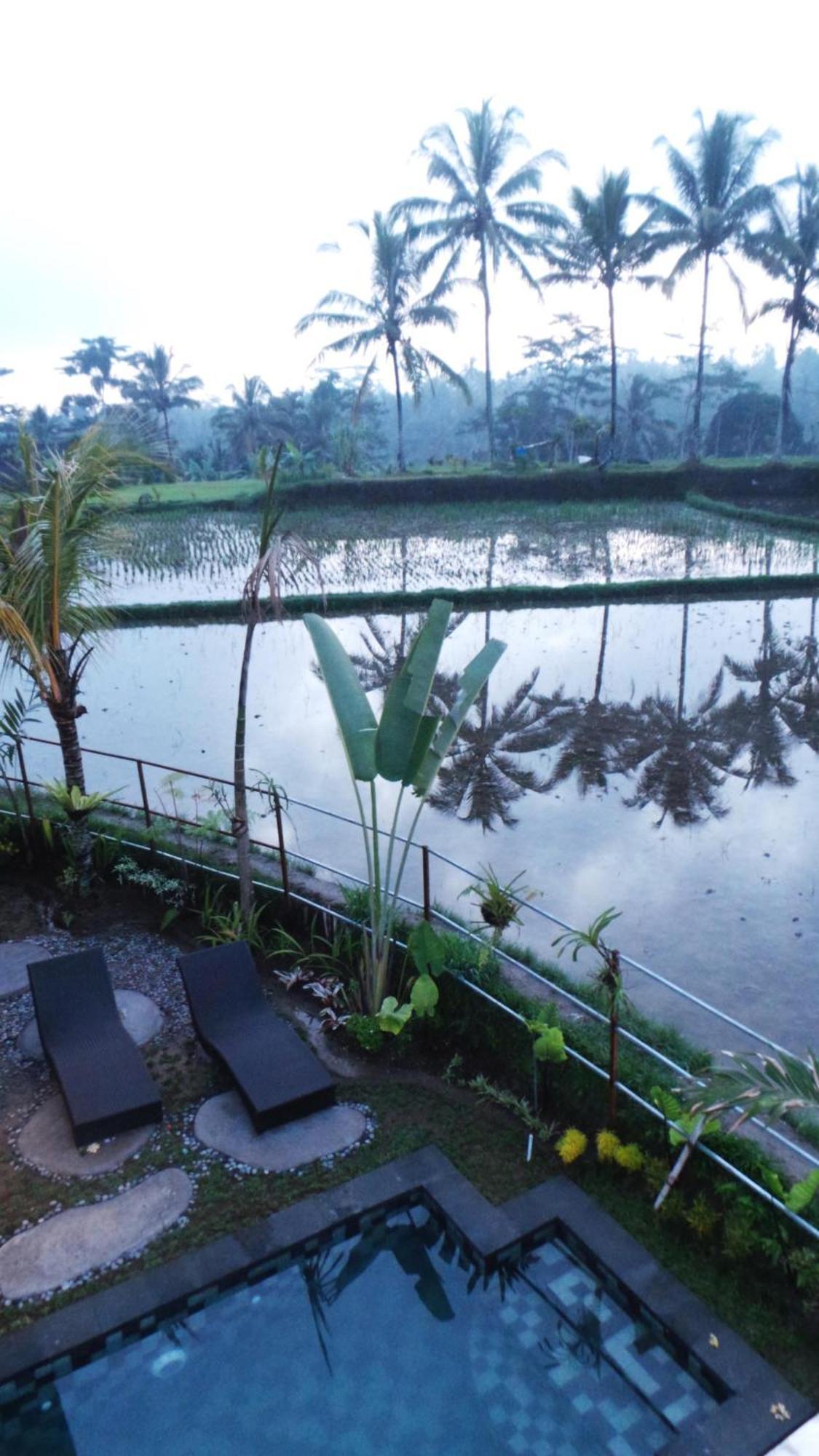 Villa Kemuning Tegallalang  Pokoj fotografie